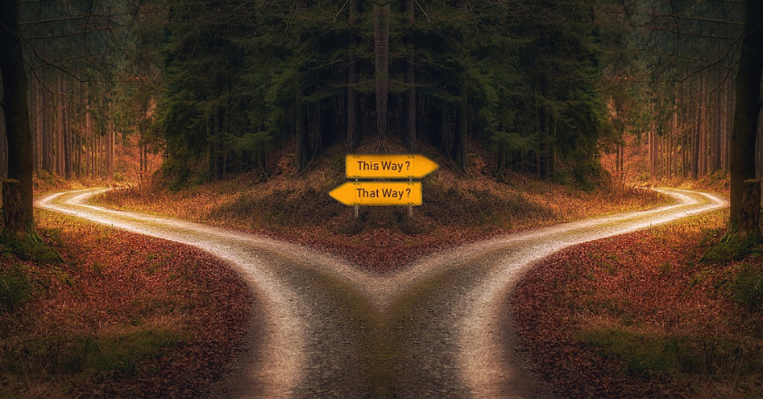 A choice between the which direction to take the business