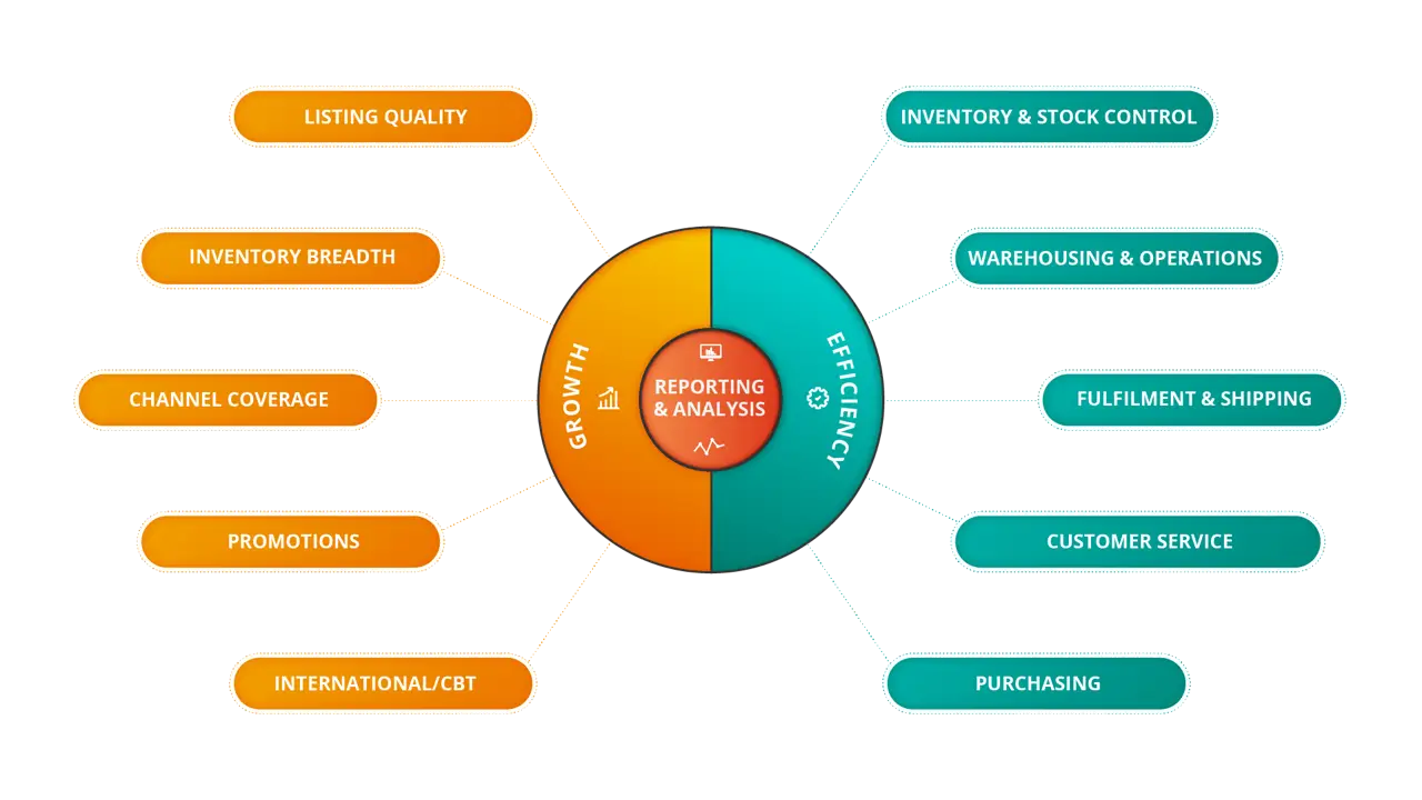 a colorful diagram illustrating the 10 levers of ecommerce analytics and reporting and their connection to growth an efficiency